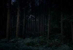 Dead Man's Valley Liverpool