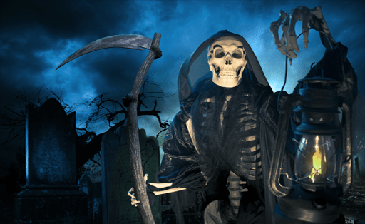 Terms and Conditions