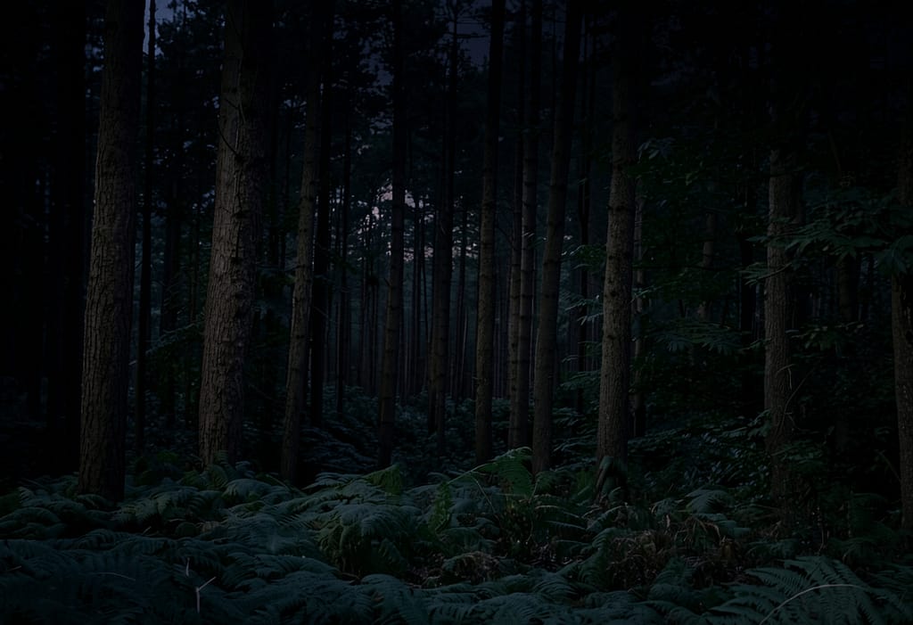 Dead Man's Valley Liverpool